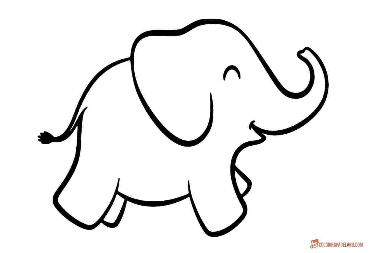 Xem hơn 48 ảnh về hình vẽ con voi đẹp - daotaonec