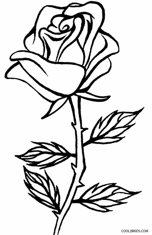Tranh vẽ tô màu hoa hồng đơn giản đẹp cho bé
