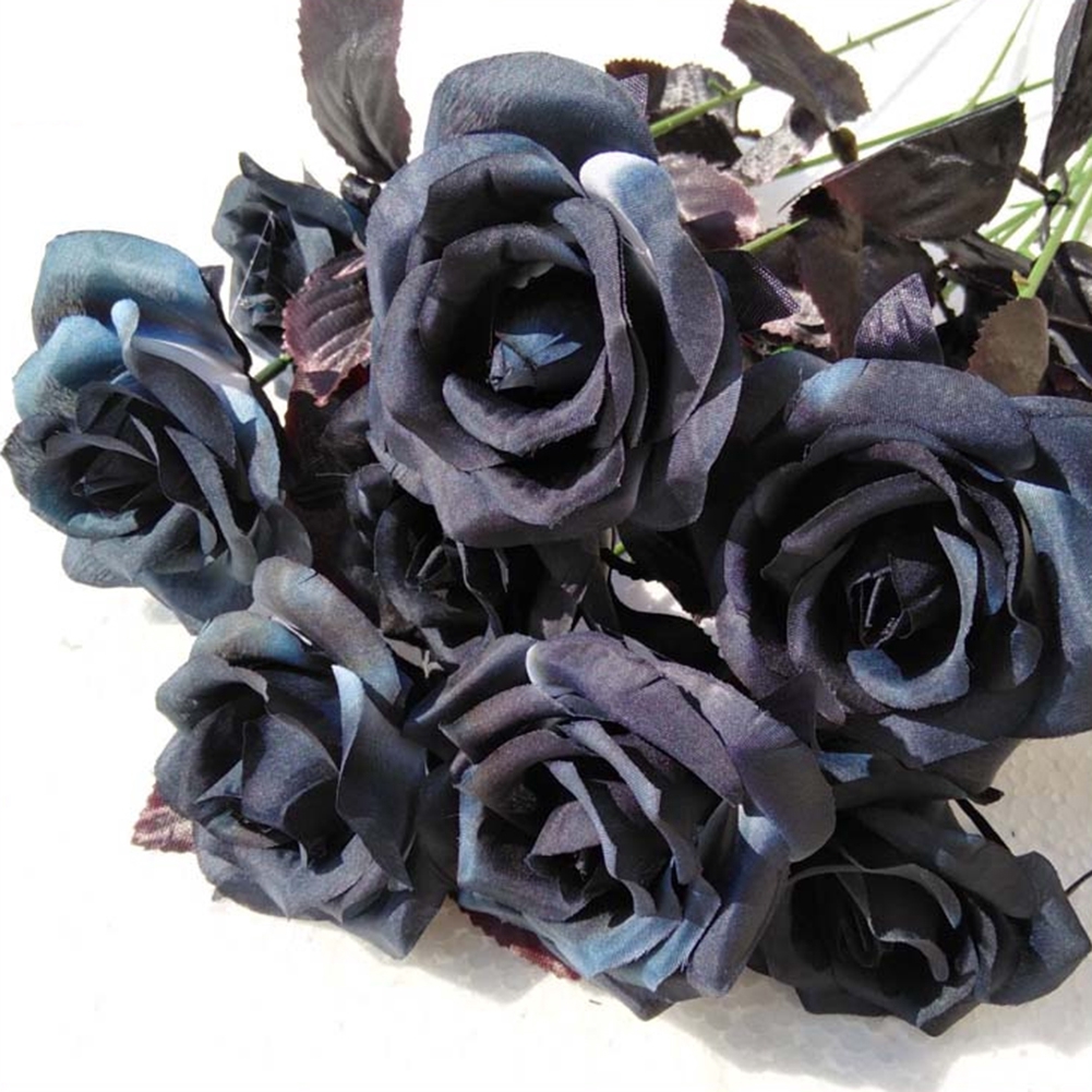 Sáu bông hoa hồng đen gói lại một bó hoa