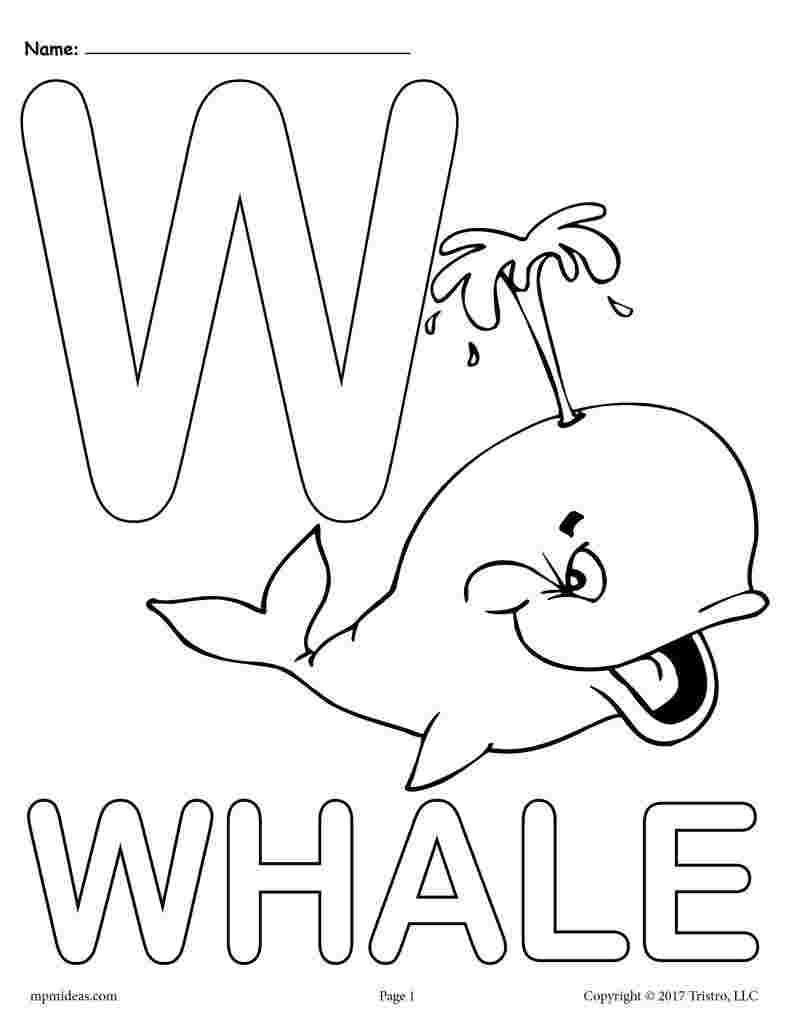 Tô màu bức tranh W chữ W cá voi