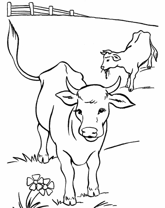 Cách vẽ tô màu tranh hình con bò sữa cute dễ thương đơn giản