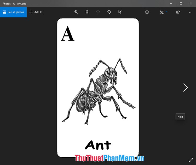 Hình ảnh Animal 4D con kiến