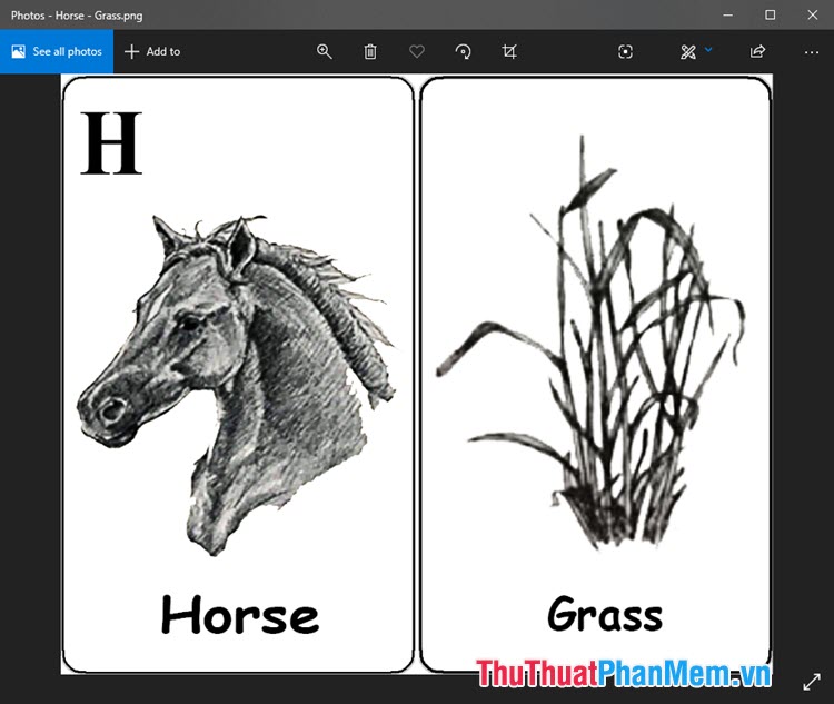 Hình ảnh Animal 4D con ngựa ăn cỏ