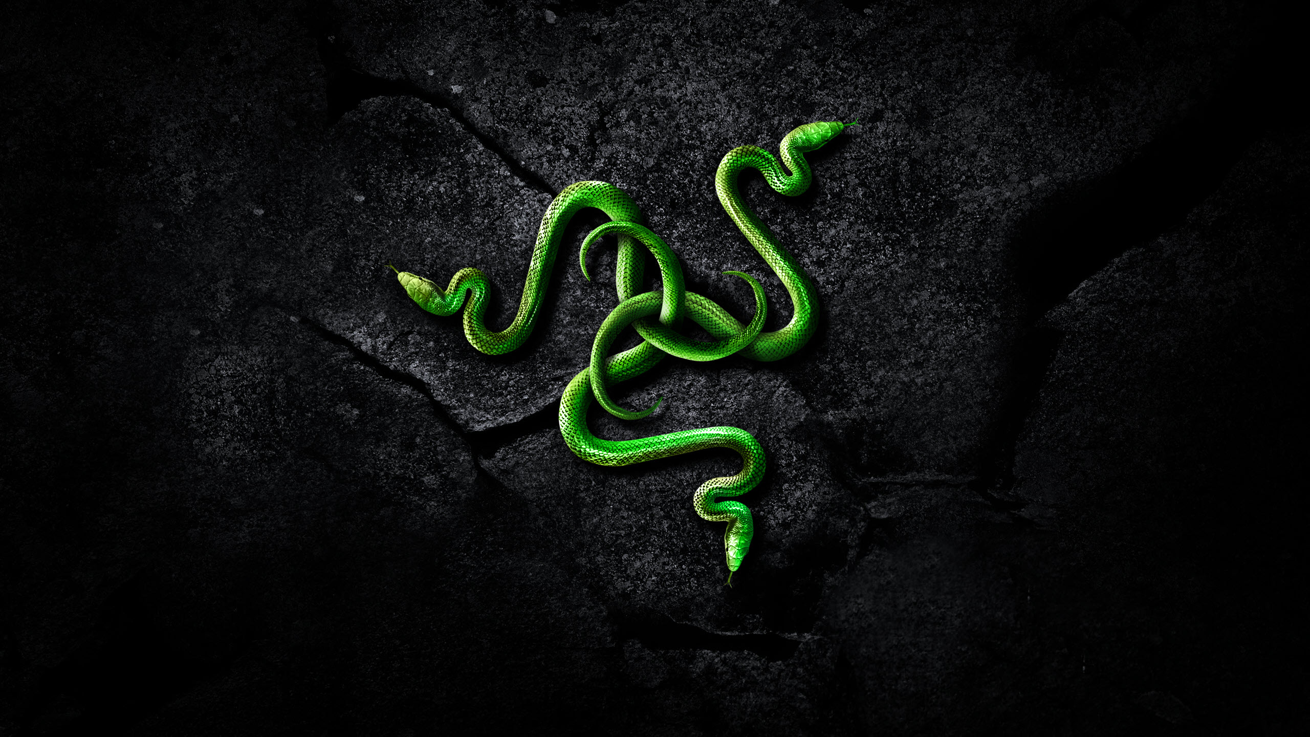 Stream Razer Records music  Listen to songs albums playlists for free on  SoundCloud