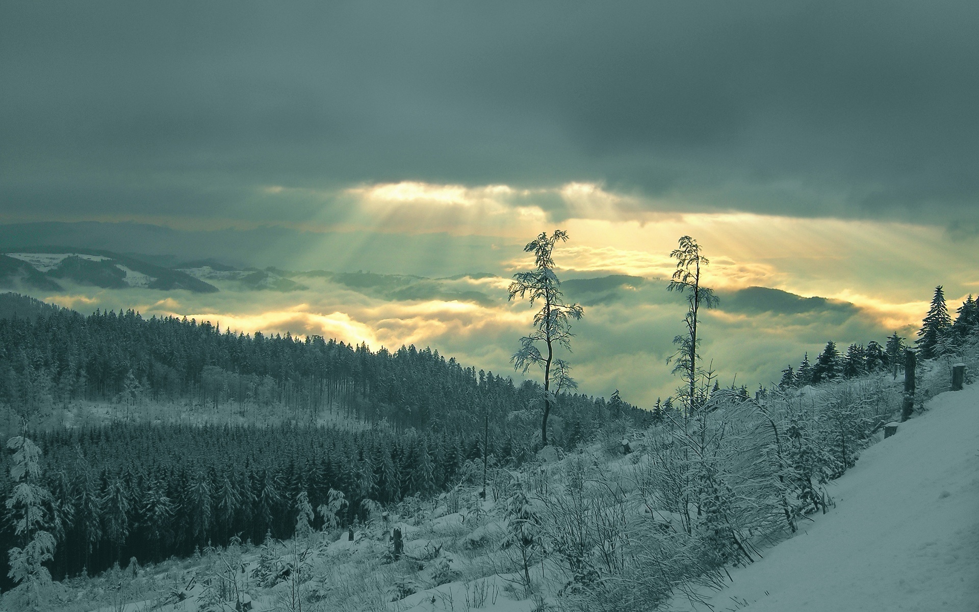 Hình nền phong cảnh mùa đông