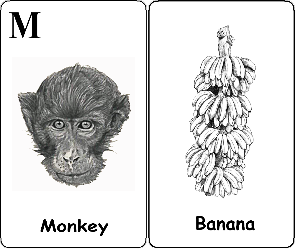 Monkey - Banana
