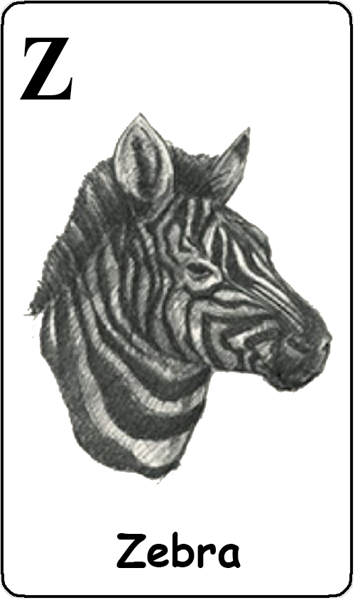 Z - Zebra