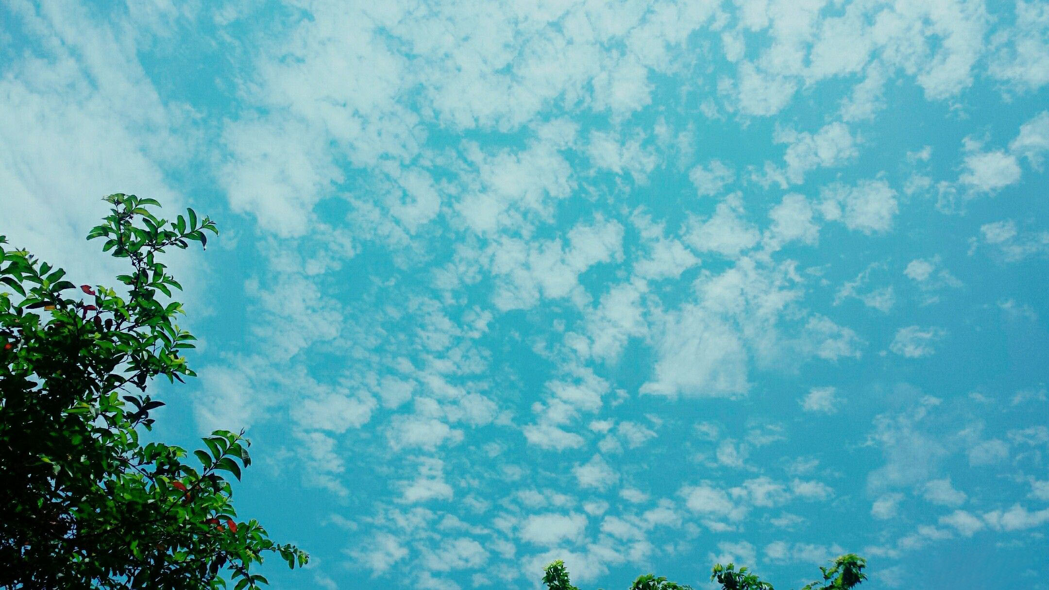 Hình ảnh Background bầu trời xanh