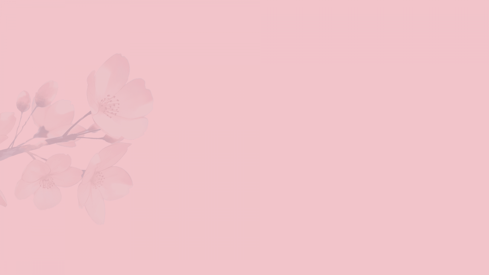 Background màu hồng phấn