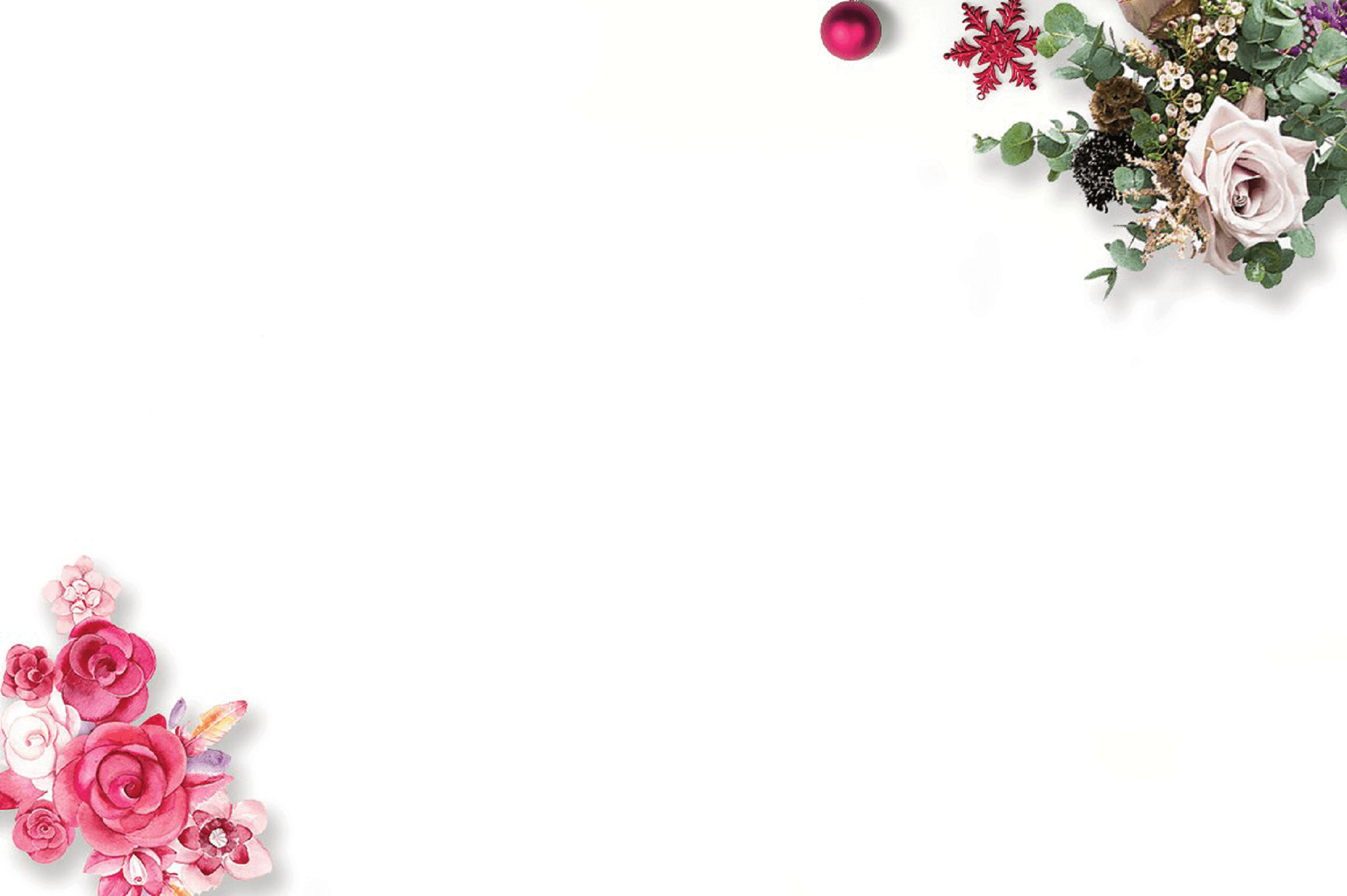 Hình ảnh background nền trắng bông hoa