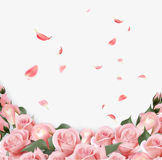 Hoa hồng background