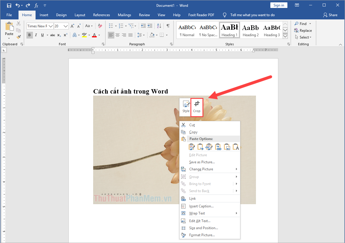 Click chuột phải vào hình ảnh trong Word và chọn Crop để mở công cụ cắt hình ảnh nhanh
