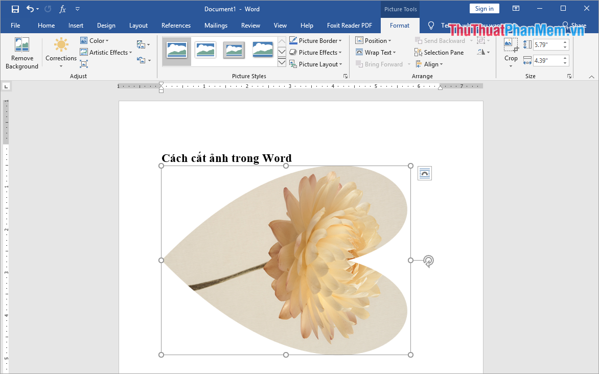 Word sẽ tự động cắt cho các bạn và các bạn có thể điều chỉnh được vị trí của hình ảnh bên trong khung
