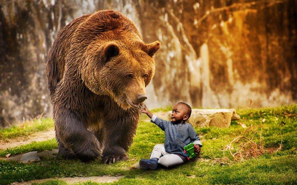 Hình ảnh gấu và em bé đẹp nhất