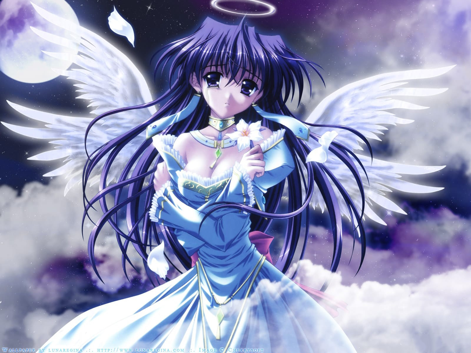 72 Thiên thần ý tưởng thiên thần anime anime angel