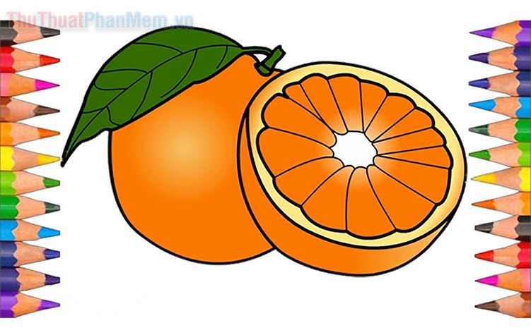 Tranh tô màu quả cam đơn giản dễ tô cho bé