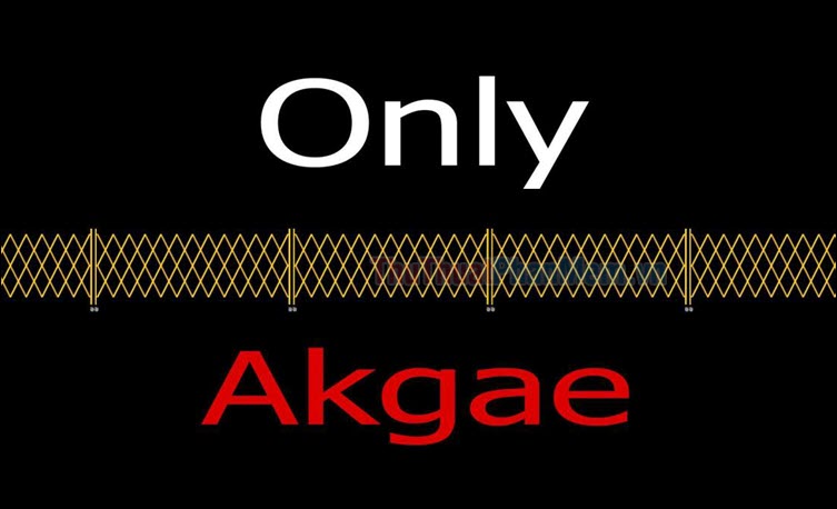 Akgae fan là được rút gọn từ cụm từ akseong gaein paen
