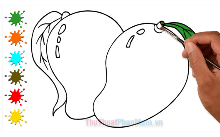 Cách vẽ quả xoài  How to draw a mango Diy  Crafts THAO  YouTube