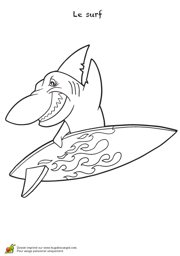 Tranh tô màu cá mập lướt ván