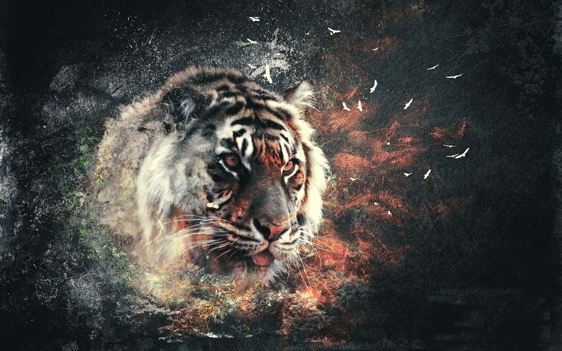 Hình ảnh con hổ cực ngầu
