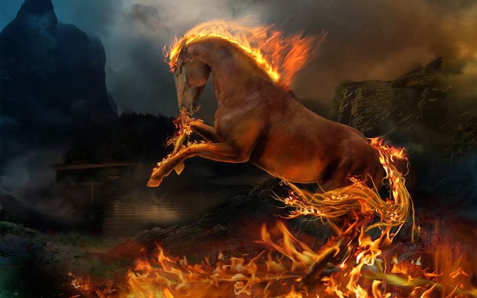 Hình ảnh ngựa lửa độc đáo