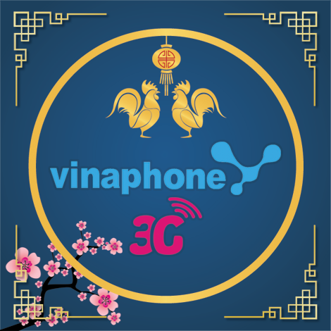 Logo vinaphone đón tết