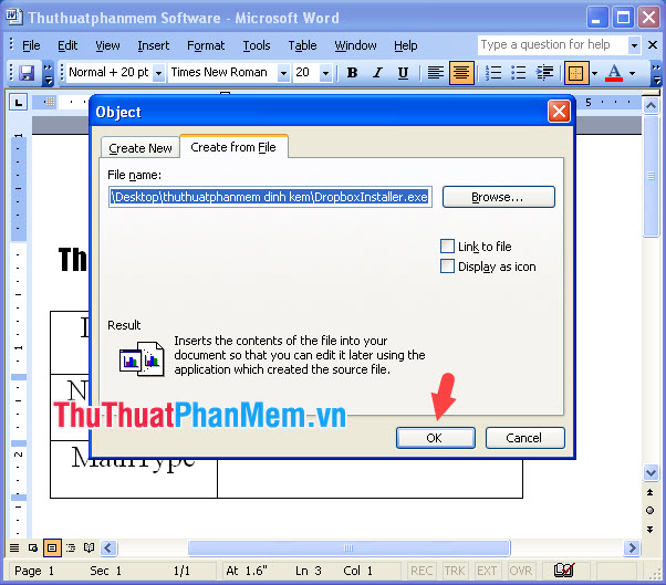 Ấn OK để chèn file