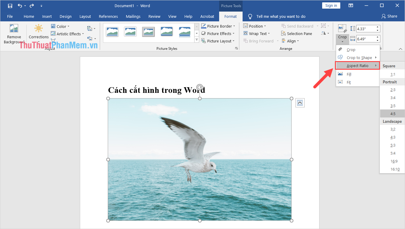 Chọn mục Aspect Ratio và tiến hành chọn một tỉ lệ khung hình mình mong muốn cắt ảnh trong Word