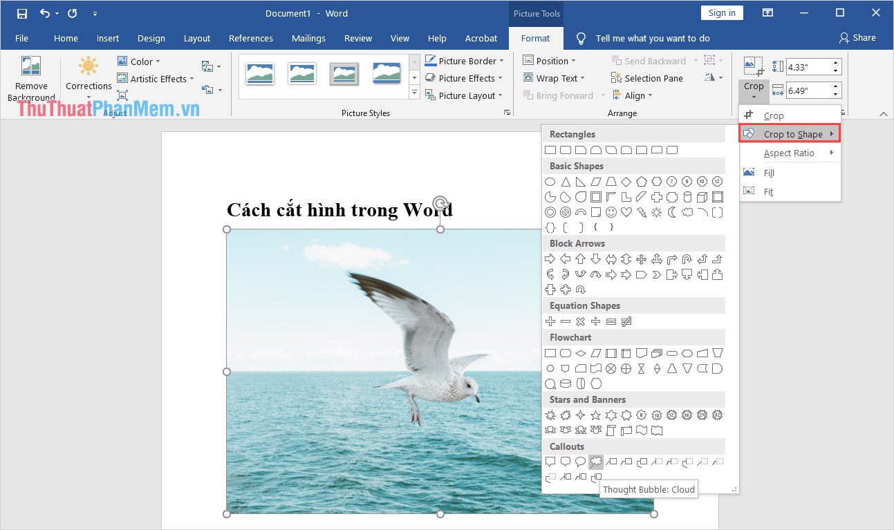 Chọn mục Crop to shape để chọn một khung hình phù hợp