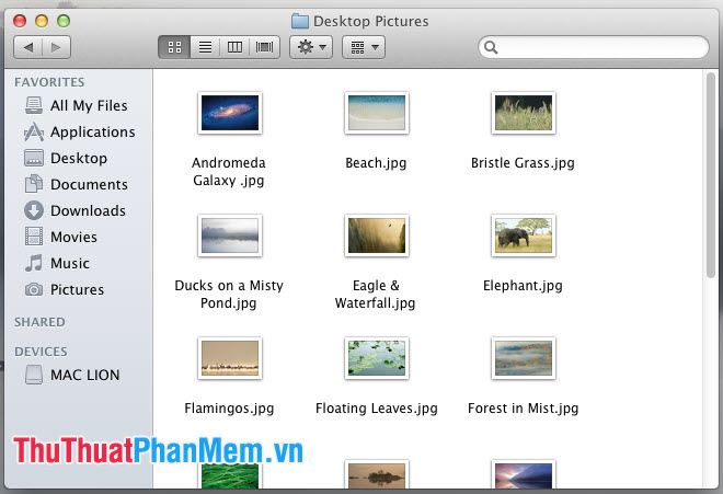 Bạn sẽ tìm thấy hình nền mặc định trên Mac nằm trong thư mục