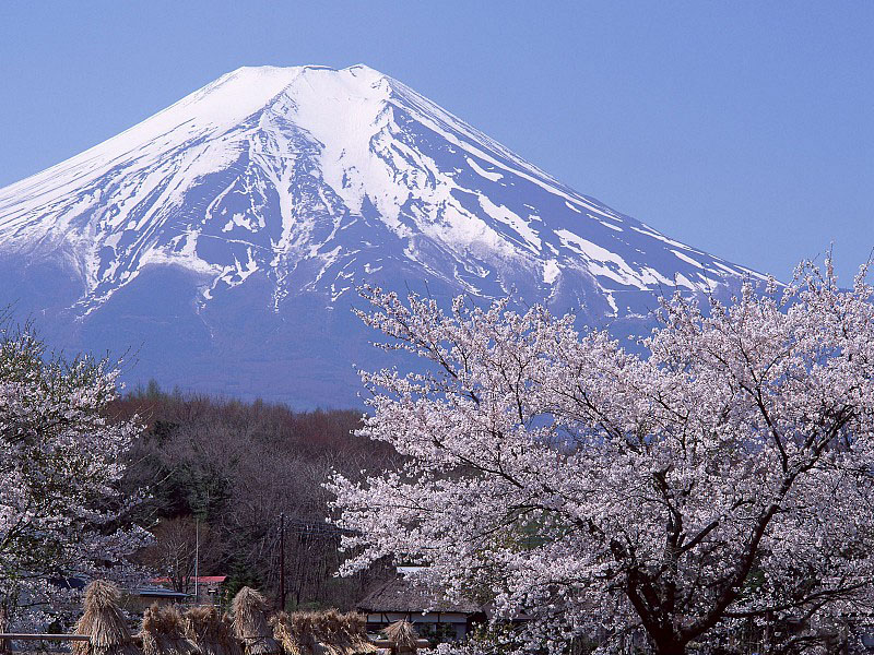 Ảnh núi Phú Sĩ đẹp nhất