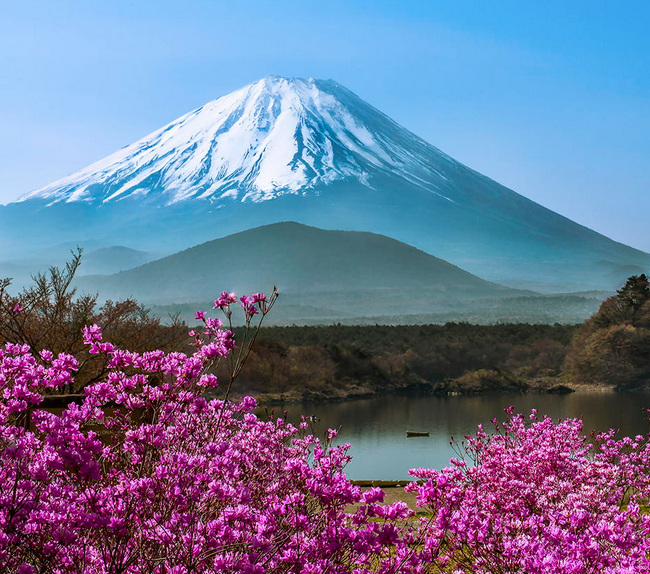 Ảnh núi Phú Sĩ mùa xuân