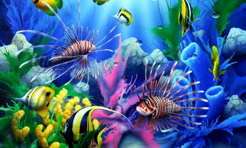 Hình ảnh 3D của cá