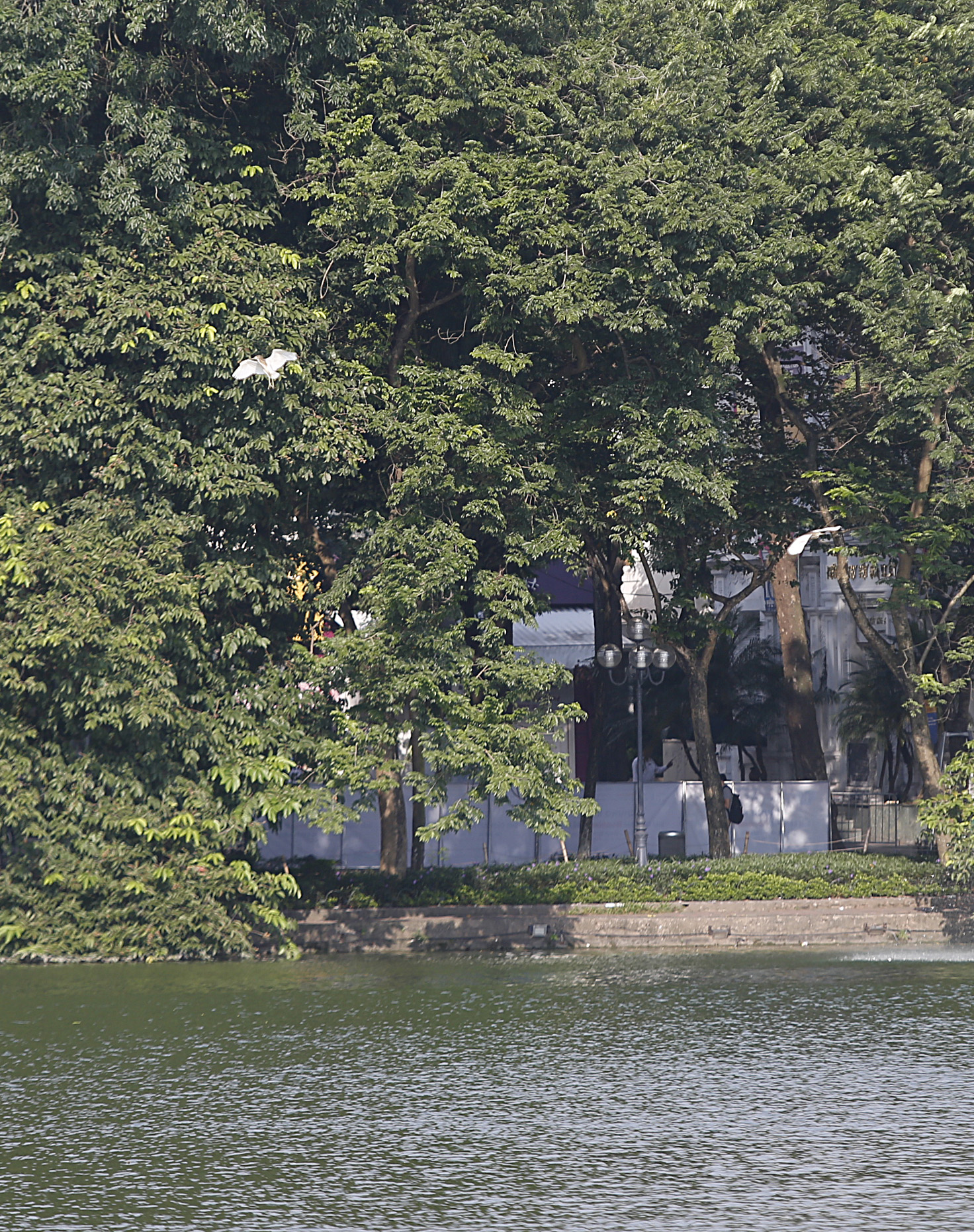 Hình ảnh Hồ Gươm người đẹp chụp ảnh ven hồ