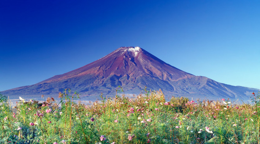 Hình ảnh núi Fuji đẹp
