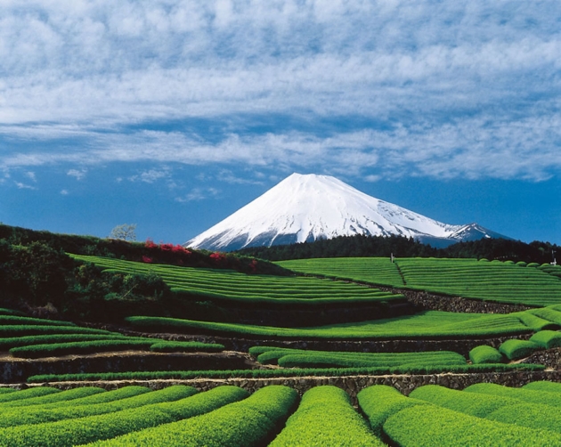 Hình ảnh núi Phú Sĩ ở Nhật