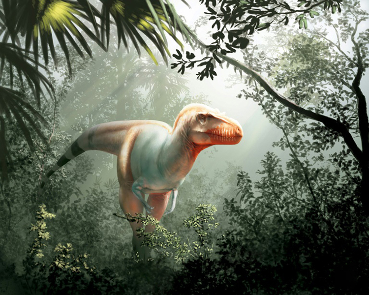Ảnh khủng long Triceraptor