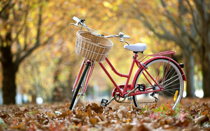 Hình ảnh xe đạp đẹp