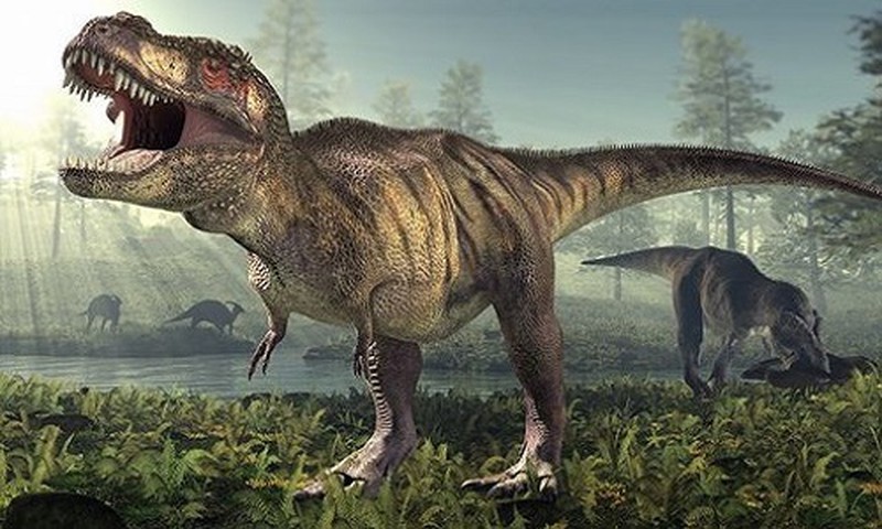 Hình ảnh khủng long ăn thịt