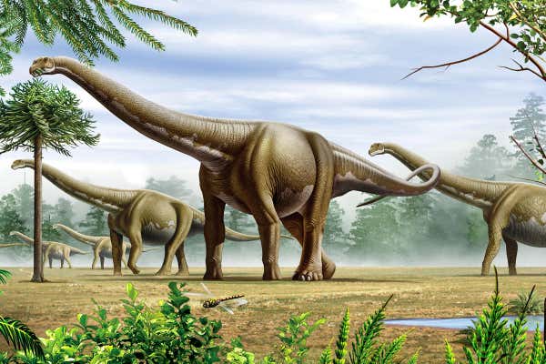 Hình ảnh khủng long cổ dài