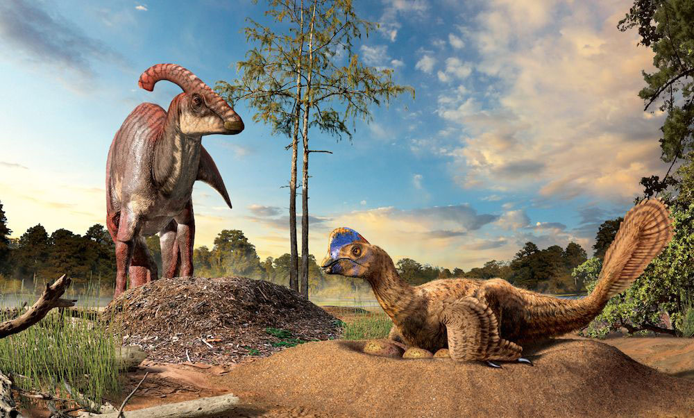 Hình ảnh của loài khủng long Parasaurolophus