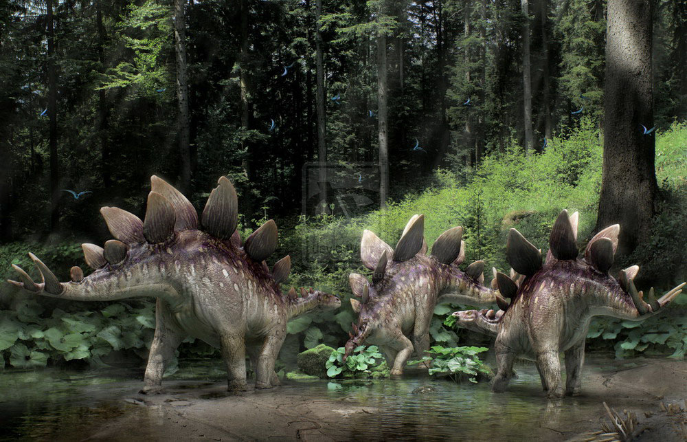 Hình ảnh của khủng long stegosaurus