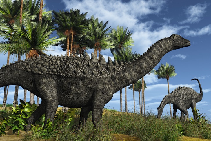 Hình ảnh khủng long Velociraptor