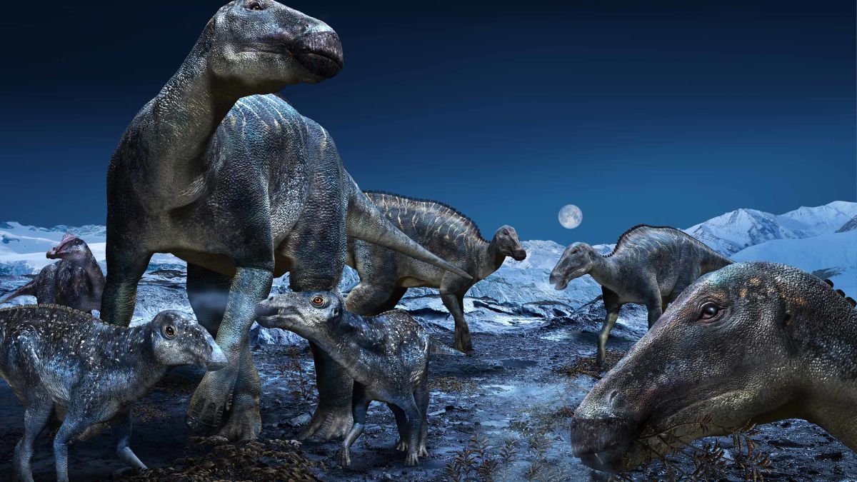 Hình ảnh khủng long Velociraptor