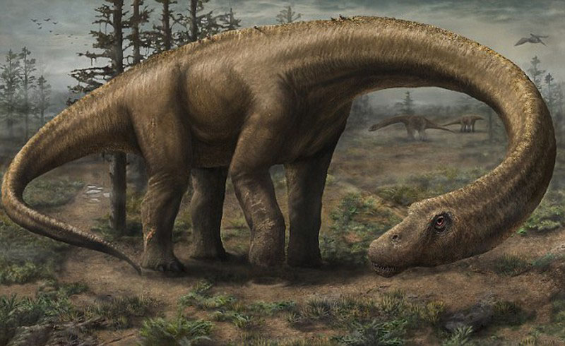 Hình ảnh khủng long cổ dài