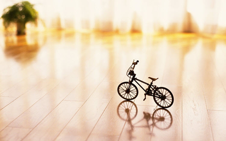 Hình ảnh nhỏ của xe đạp