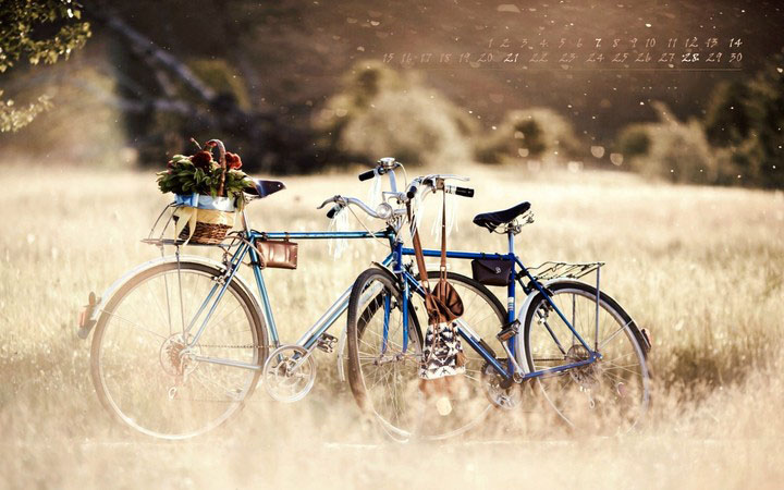Tôi thích những hình ảnh của xe đạp