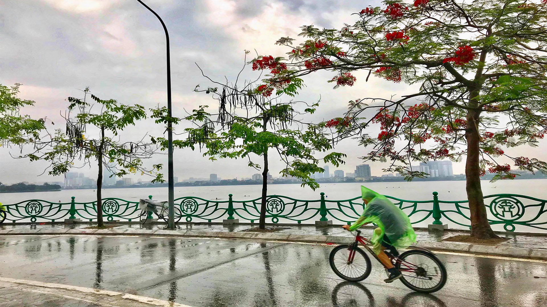 Hình nền Hà Nội ngày mưa