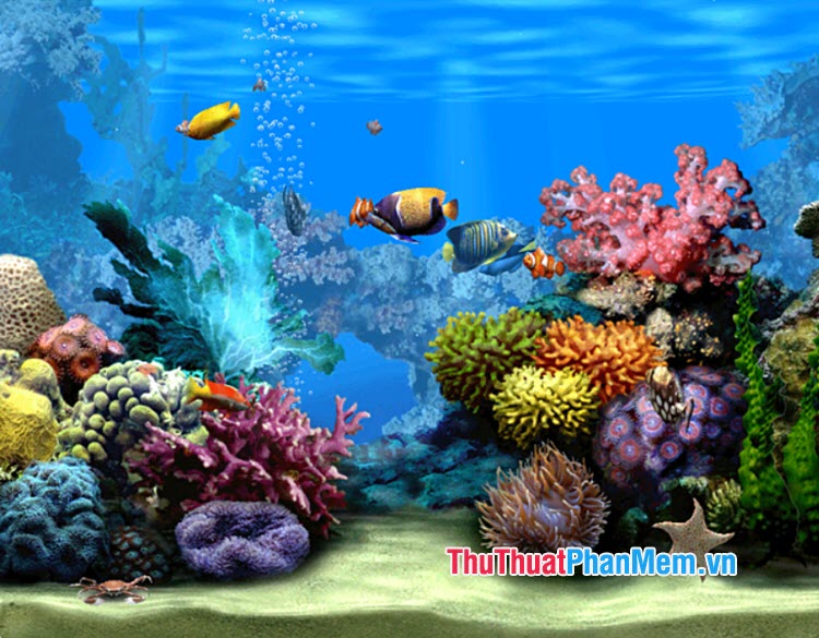 Living Oceanarium 2