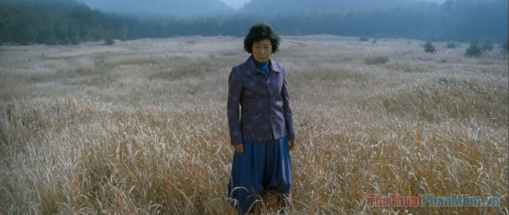 Mother (2009) – Mẹ